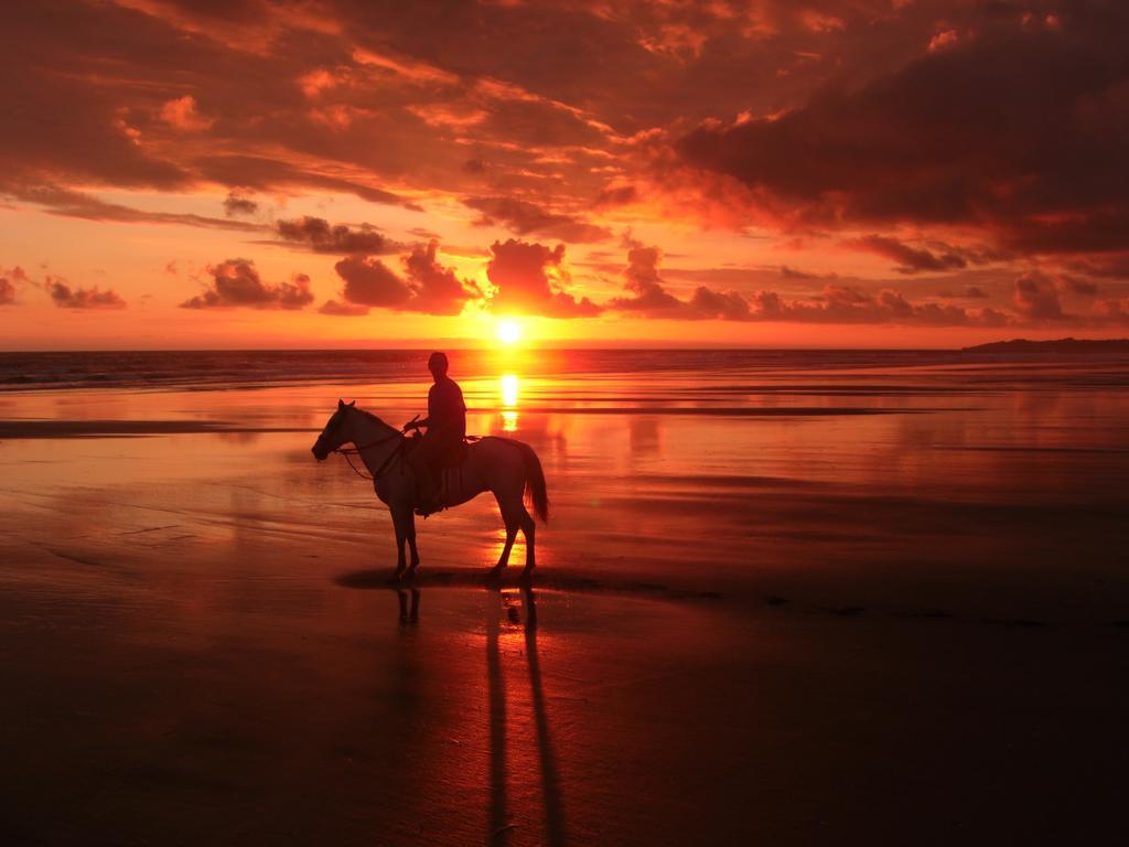 Palm Coast Luxury Rentals Esterillos Este Esterno foto